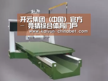 产品名称九