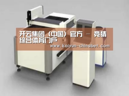 产品名称十三