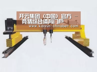 产品名称十七