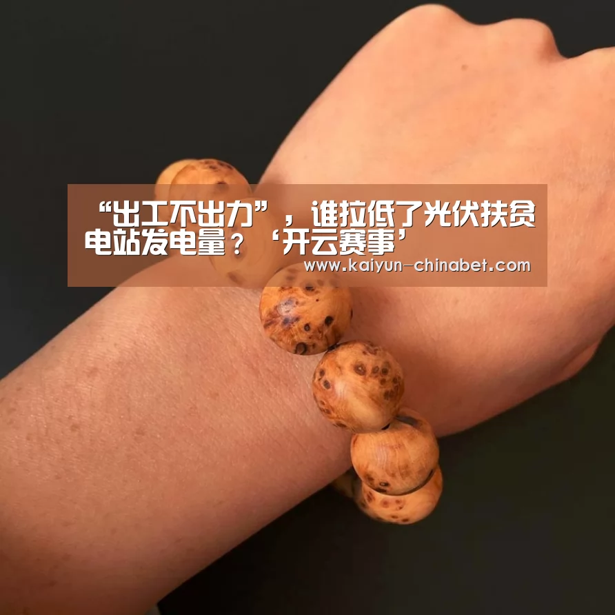 “出工不出力”,谁拉低了光伏扶贫电站发电量?‘开云赛事’(图3) 开云推荐