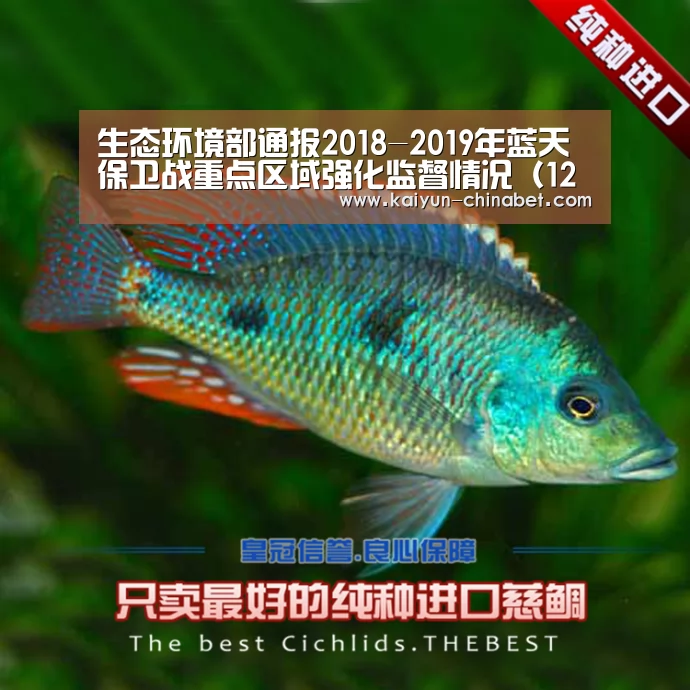 生态环境部通报2018-2019年蓝天保卫战重点区域强化监督情况(12月3日)_开云赛事(图2) 开云推荐