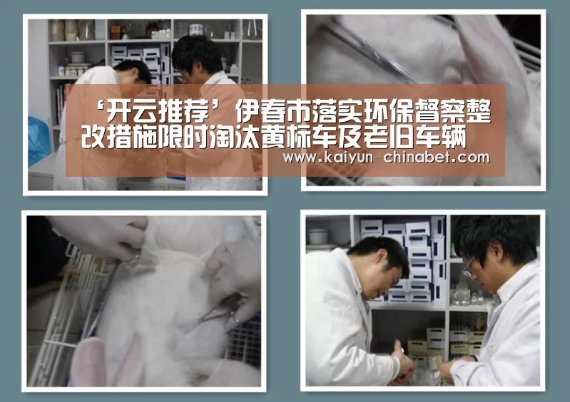 开云推荐