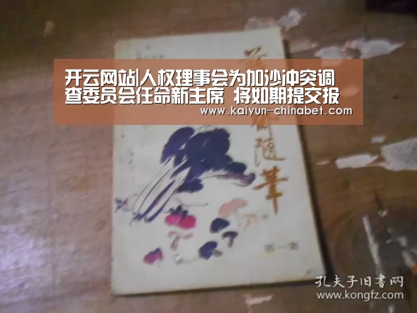 开云网站|人权理事会为加沙冲突调查委员会任命新主席 将如期提交报告(图2) 开云直播