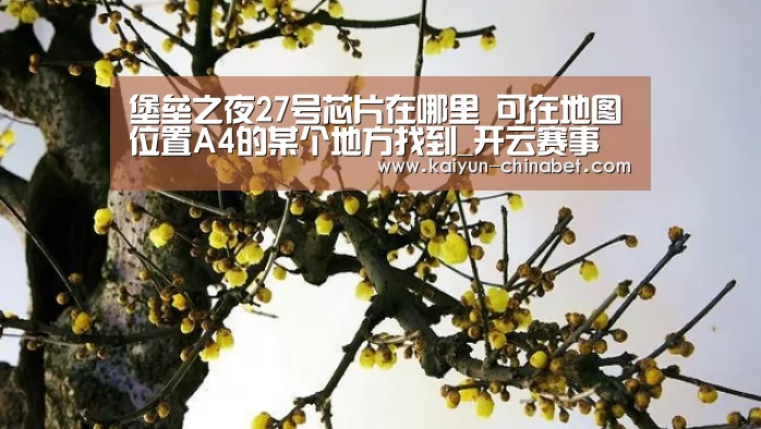 堡垒之夜27号芯片在哪里 可在地图位置A4的某个地方找到_开云赛事(图1) 开云直播