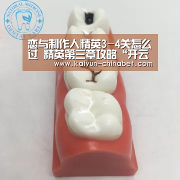 恋与制作人精英3-4关怎么过 精英第三章攻略“开云网站”(图1) 开云直播