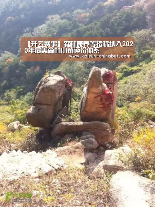 开云赛事