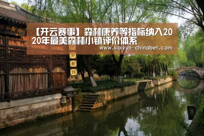 开云网站