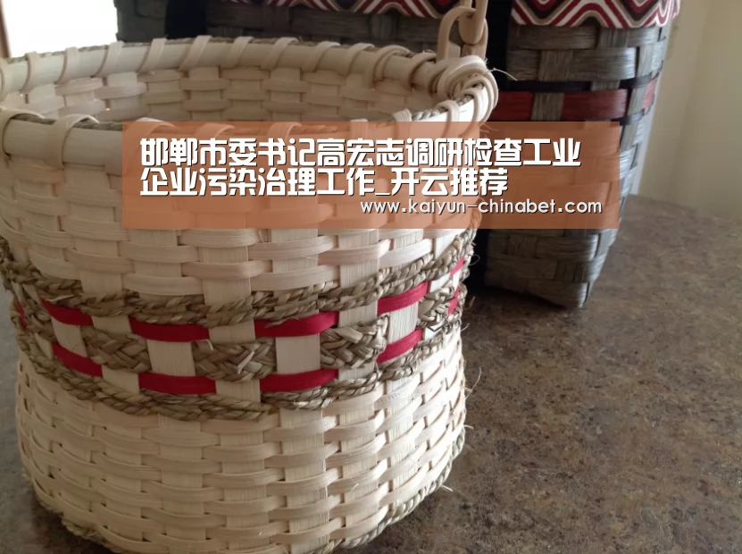 邯郸市委书记高宏志调研检查工业企业污染治理工作_开云推荐(图3) 开云推荐