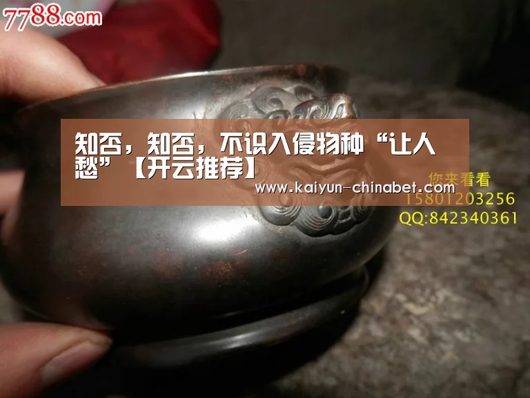 知否,知否,不识入侵物种“让人愁”【开云推荐】(图1) 开云直播