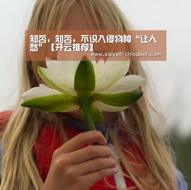 知否,知否,不识入侵物种“让人愁”【开云推荐】(图3) 开云推荐