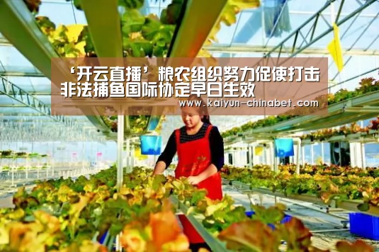 ‘开云直播’粮农组织努力促使打击非法捕鱼国际协定早日生效(图4) 开云赛事