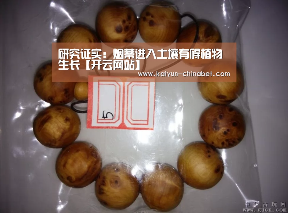 研究证实:烟蒂进入土壤有碍植物生长【开云网站】(图1) 开云推荐