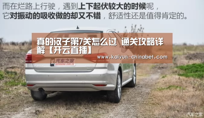 真的汉子第7关怎么过 通关攻略详解【开云直播】(图2) 开云网站