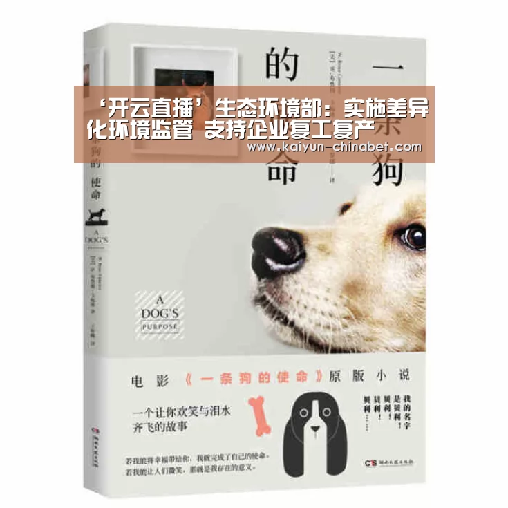 开云网站