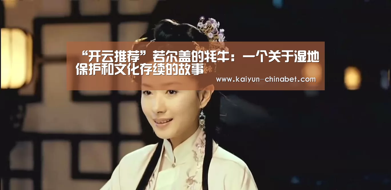 “开云推荐”若尔盖的牦牛:一个关于湿地保护和文化存续的故事(图1) 开云推荐