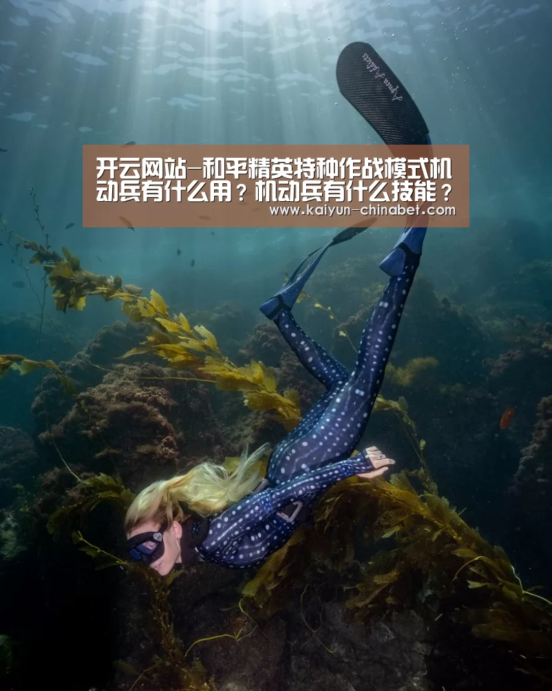 开云网站