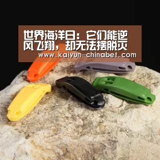 开云网站