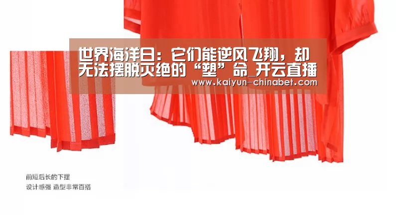 开云网站