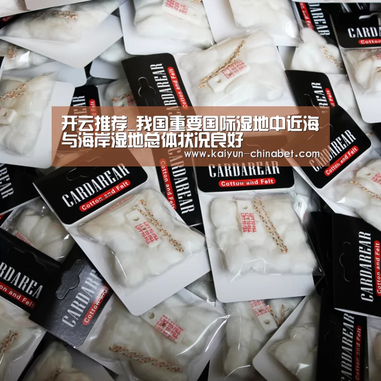 开云推荐_我国重要国际湿地中近海与海岸湿地总体状况良好(图2) 开云赛事