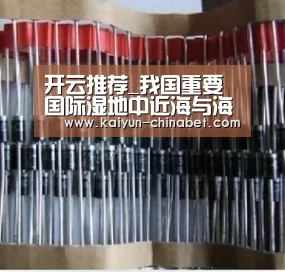 开云推荐_我国重要国际湿地中近海与海岸湿地总体状况良好(图4) 开云直播