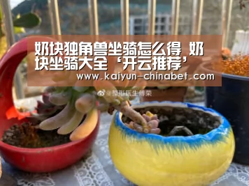 奶块独角兽坐骑怎么得 奶块坐骑大全‘开云推荐’(图2) 开云直播