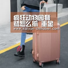 开云赛事