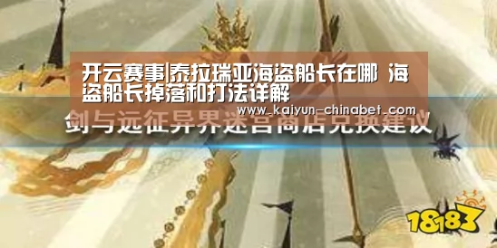 开云网站