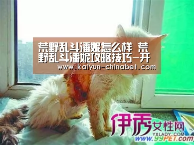 荒野乱斗潘妮怎么样 荒野乱斗潘妮攻略技巧-开云网站(图3) 开云直播