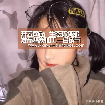 开云网站-生态环境部发布煤炭加工—合成气和液体燃料生产等10项排污许可申请与核发技术规范(图1) 开云推荐