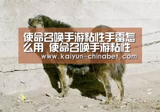 使命召唤手游粘性手雷怎么用 使命召唤手游粘性手雷用法“开云直播”(图3) 开云直播